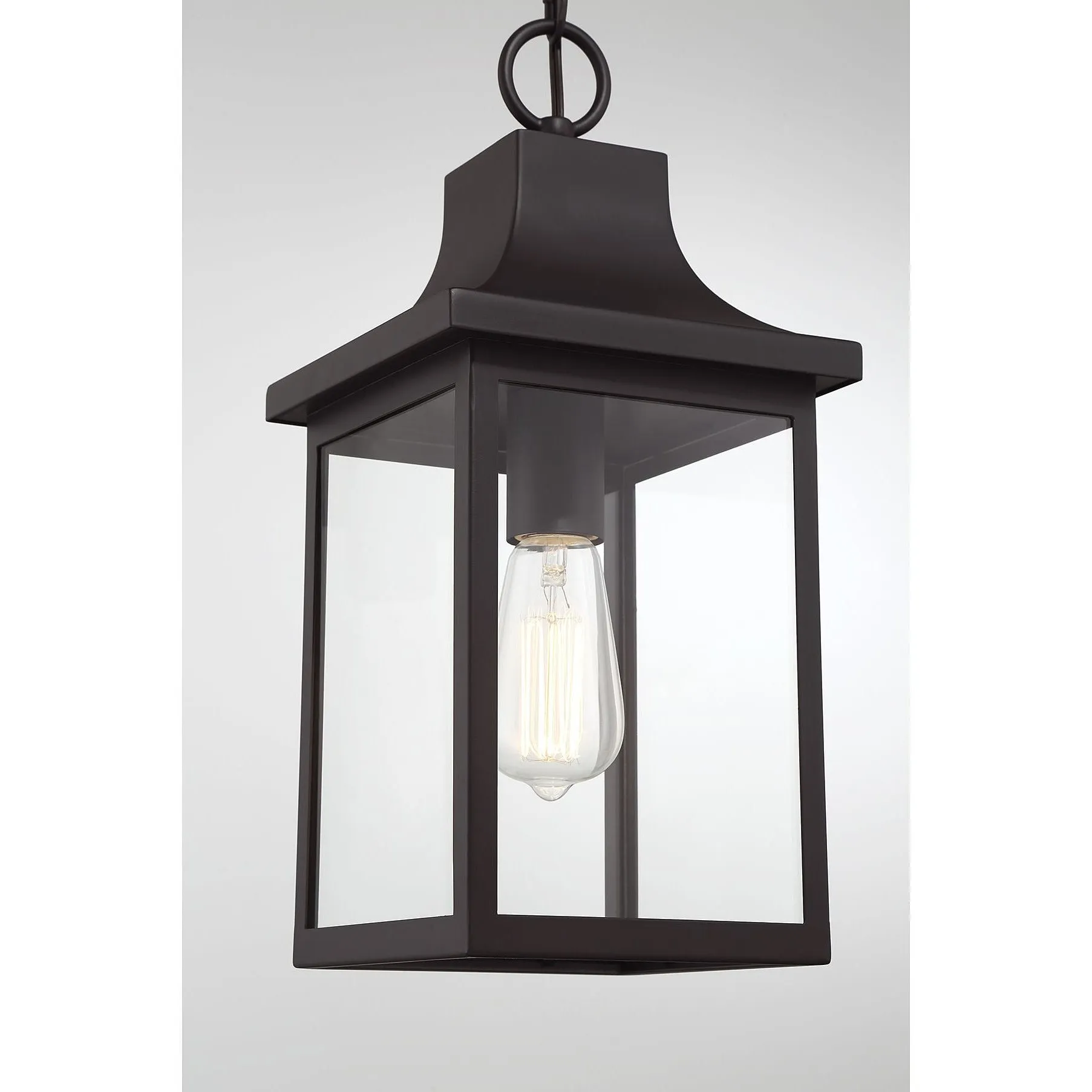 1-Light Outdoor Hanging Lantern