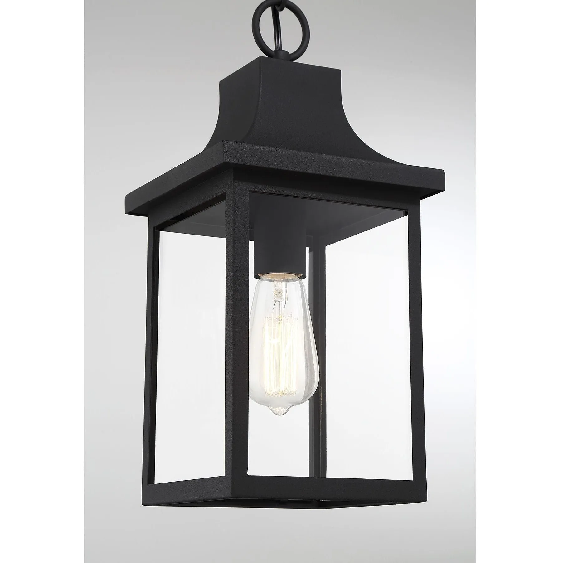 1-Light Outdoor Hanging Lantern