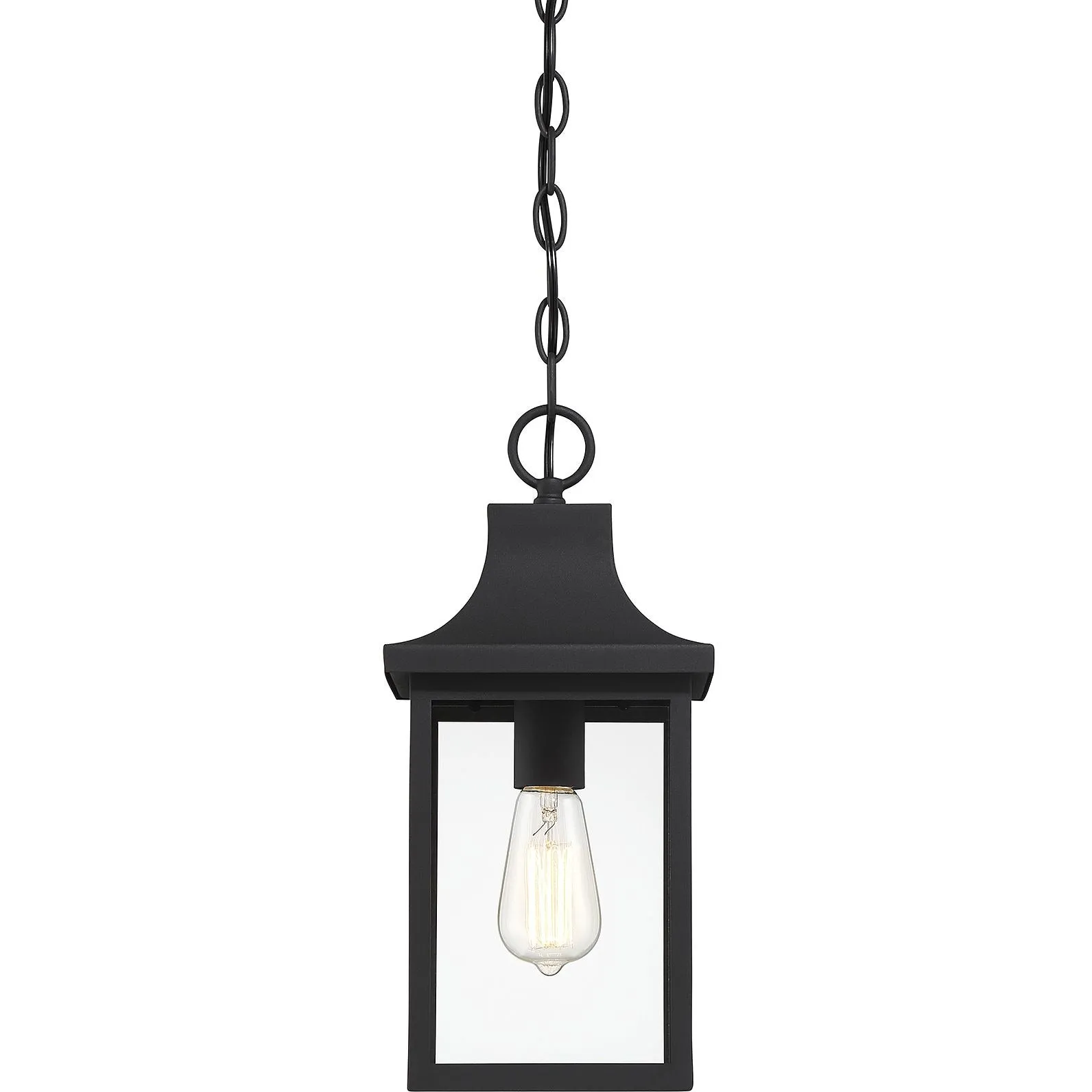 1-Light Outdoor Hanging Lantern