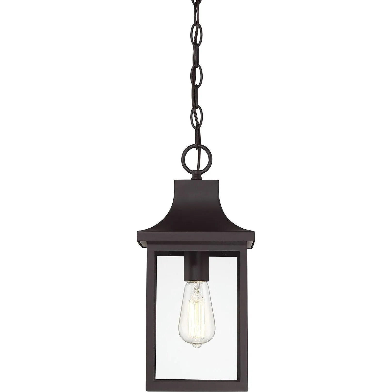 1-Light Outdoor Hanging Lantern