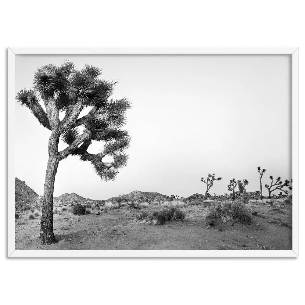 Joshua Tree Desert Landscape Black and White - Art Print