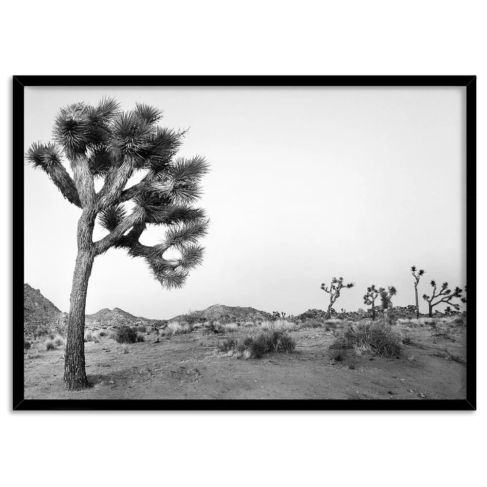 Joshua Tree Desert Landscape Black and White - Art Print