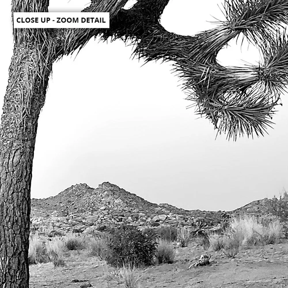 Joshua Tree Desert Landscape Black and White - Art Print